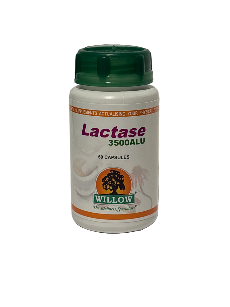 Willow - Lactase 3500 ALU (60 caps)