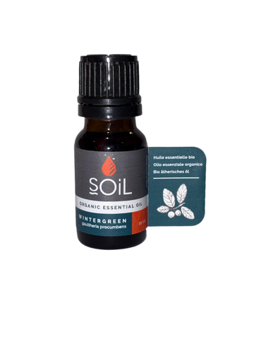 SOil - Organic Wintergreen Essential Oil (10ml)