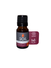 SOil - Cinnamon Leaf Essential Oil (10ml)