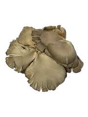 Funky Fungi - Oyster Mushrooms (R/kg)