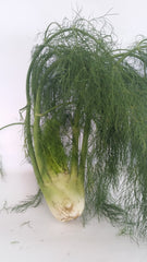 JJ Organics - Organic Fennel (Each)