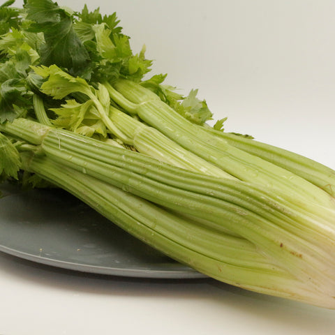 JJ Organics - Organic Celery (Each)