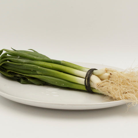 JJ Organics - Organic Spring Onions (bunch)
